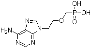 9-[2-(Phosphonomethoxy)Ethyl]Adenine (PMEA)